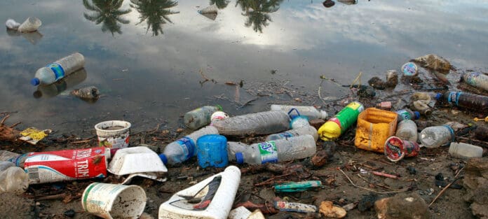 Hongos devoradores de plástico podrían ser la esperanza para reducir contaminación oceánica