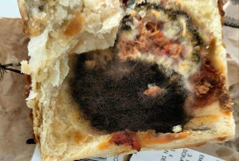 Una clienta del Soriana de la avenida Kabah de Cancún denunció que unas empanadas que compró estaban descompuestas.