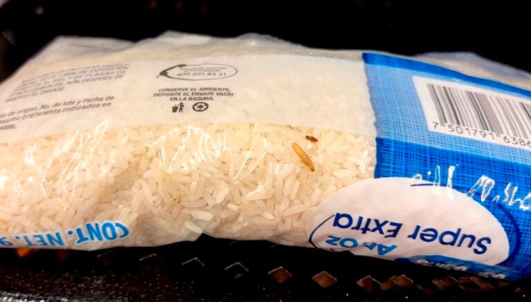 Descubren mercancía con gusanos en Walmart Comalcalco de Cancún