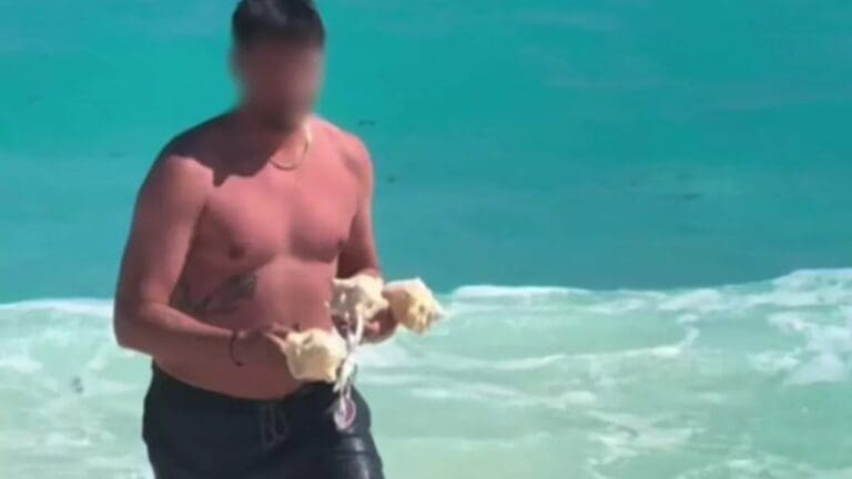 Video: Exhiben a extranjero sacando caracoles en una playa de Cancún