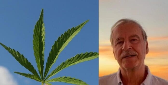 Alerta Cofepris por productos con canabbis, incluidos los de la empresa del expresidente Vicente Fox Quesada.