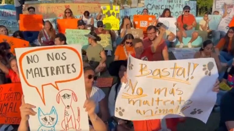 Protestan ciudadanos de Cancún contra el maltrato animal