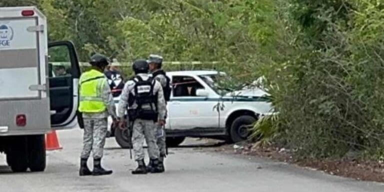 Fallece un taxista de Cancún luego de chocar contra un árbol. El percance ocurrió muy cerca del Arco Vial.