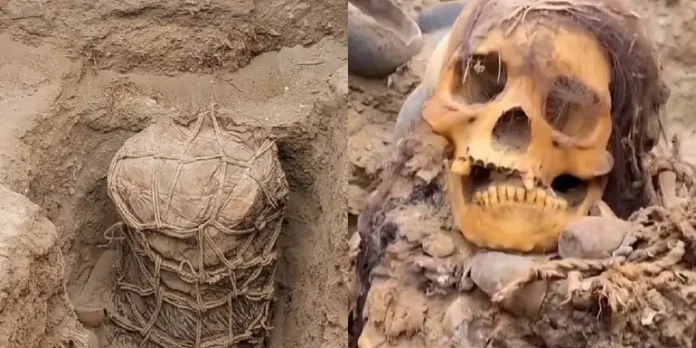Hallan momia de mil años mientras cambiaban una tubería en Perú