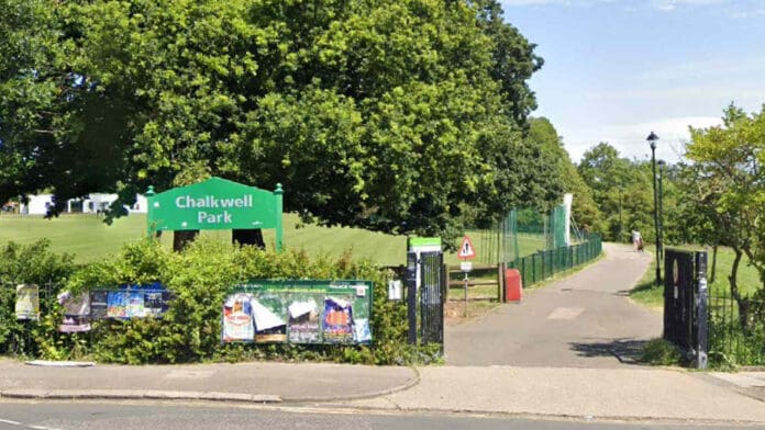 Hospitalizan a cinco niños tras la caída de un árbol en Inglaterra