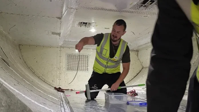 Serpiente provoca retraso en un vuelo en Australia