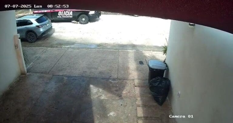 Policías estatales de Quintana Roo atropellaron a un perro; autoridades investigan el percance donde murió un lomito.