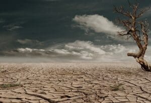 El verdadero costo de la acción climática: México ante el reto financiero de sus NDCs rumbo a la COP302