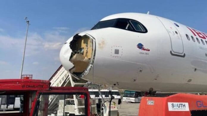 Video: Avión se impacta contra un buitre y aterriza de emergencia en Madrid, España