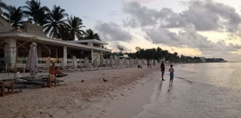 Zofemat retira camastros que invadían arenales de Mamitas en Playa del Carmen Zofemat retira camastros que invadían arenales de Mamitas en Playa del Carmen