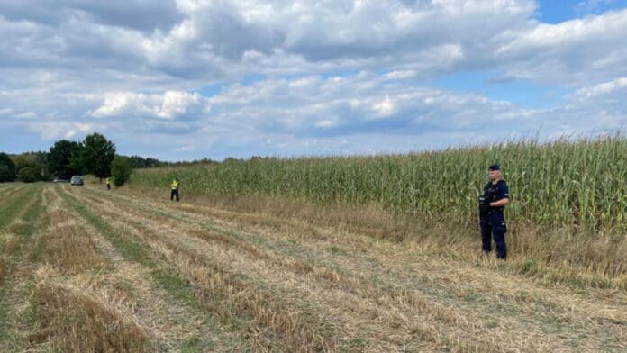 Supuesto ovni se impacta y explota en campo de maíz en Polonia