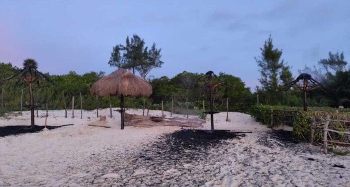 Incendio consume tres palapas en la 72, la costa pet friendly de Playa del Carmen. Por fortuna no hubo personas lesionadas.