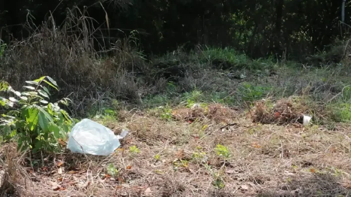 Abandonan cuerpo decapitado de un hombre en Veracruz