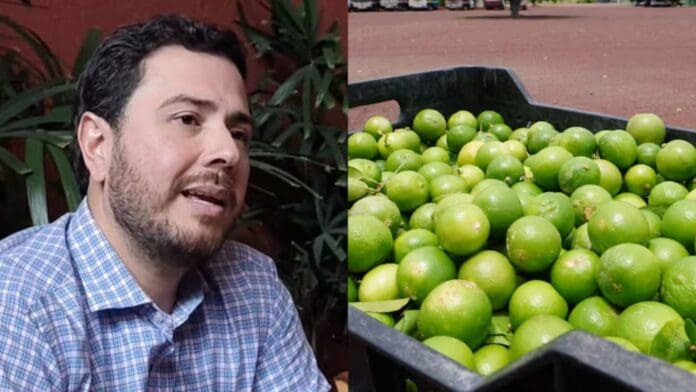 Hallan sin vida a Bernardo Bravo, líder limonero de Apatzingán, Michoacán; presentaba golpes y un disparo en el rostro