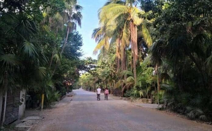 Más violencia; hallan un cuerpo desmembrado sobre la carretera Tulum-Felipe Carrillo Puerto. Es la víctima 44 del año.