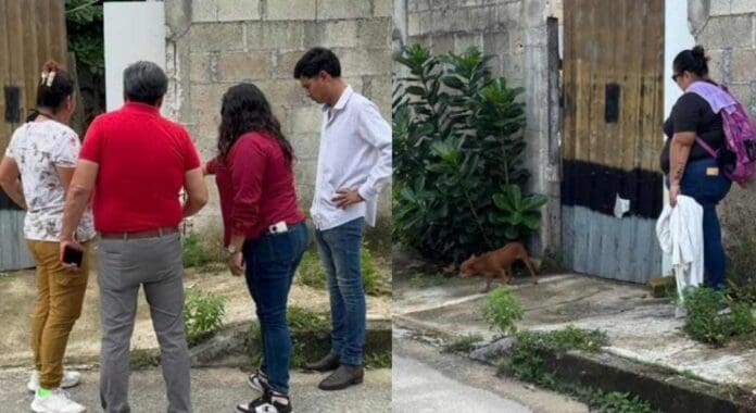 Detienen a adulto mayor acusado de abusar y machetear a un perrito en Cancun Detienen a adulto mayor acusado de abusar y machetear a un perrito en Cancún. El can murió tras minutos de agonía.