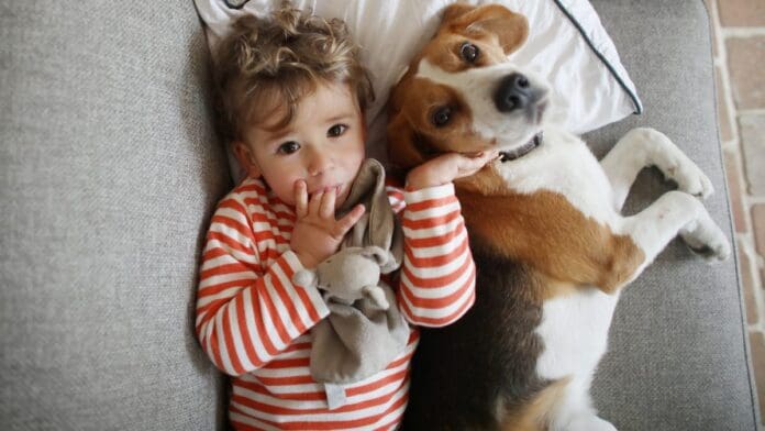 Nueva ley prohíbe negar vivienda por tener hijos o mascotas en CDMX Nueva ley prohíbe negar vivienda por tener hijos o mascotas en CDMX