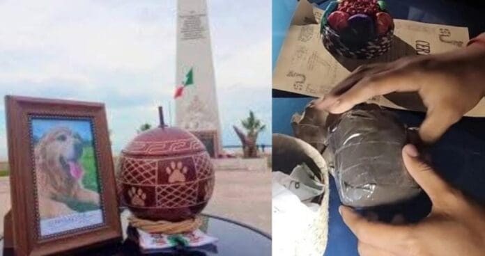 Crematorio de mascotas estafa a decenas de familias en Chetumal les daba tierra en lugar de cenizas Crematorio de mascotas estafa a decenas de familias en Chetumal; les daba tierra en lugar de cenizas. Indignante.