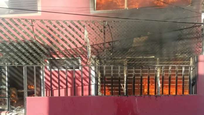 Perrito fallece tras incendiarse un altar de Día de Muertos en Venustiano Carranza, Cdmx Perrito fallece tras incendiarse un altar de Día de Muertos en Venustiano Carranza, Cdmx