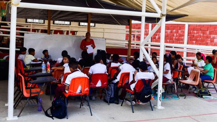 Pide la SEP a docentes reconocer a infancias y adolescencias trans y no binarias en escuelas Pide la SEP a docentes reconocer a infancias y adolescencias trans y no binarias en escuelas