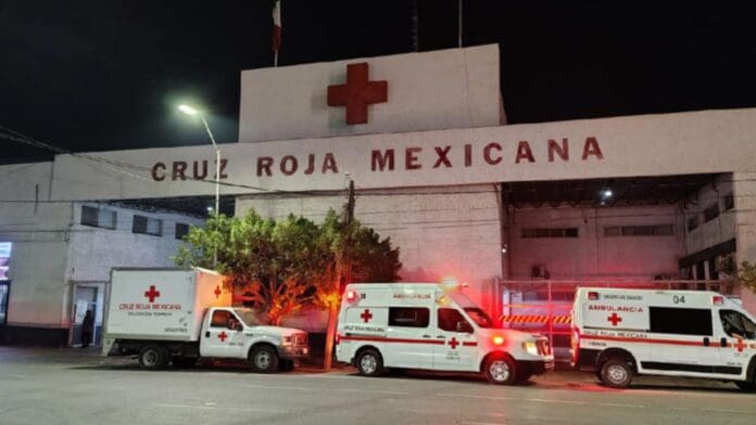 Mujer pateada por caballo Mujer sufre fractura de cráneo tras ser pateada por un caballo en Torreón, Coahuila