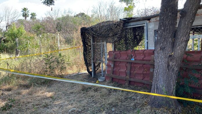 Hallan restos óseos en una jaula para felinos y una fosa clandestina en Culiacancito, Sinaloa