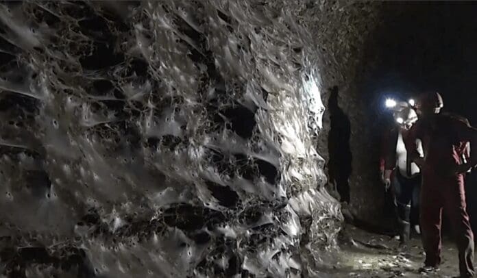 Descubren en Europa la telaraña más grande del mundo está en una cueva entre Grecia y Albania