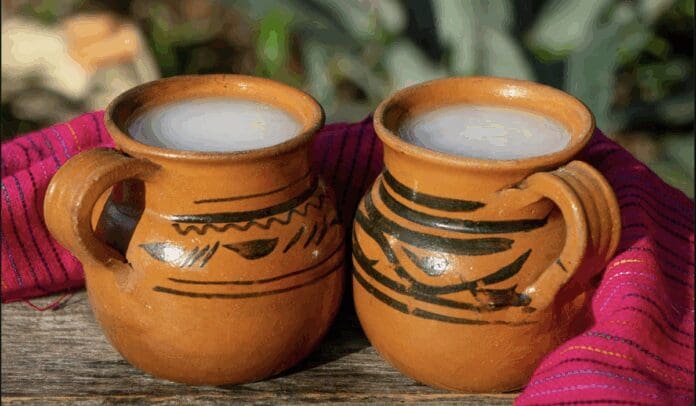 Navidad con sabor a pulque llega el Tianguis Navideño a CDMX