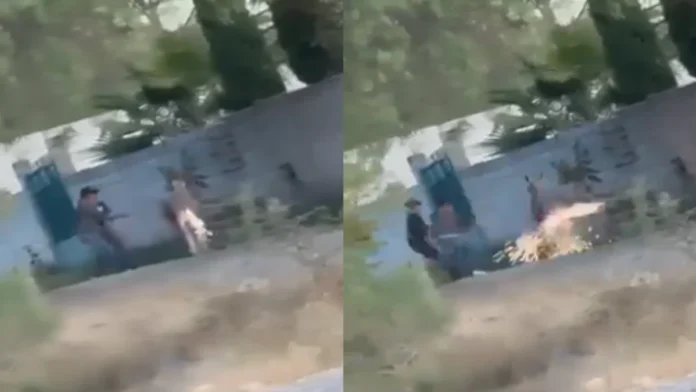 Sujetos prenden cohete en la cola de un burro en Querétaro