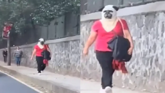 Mujer sorprende en redes al lucir una máscara de perro realista en México