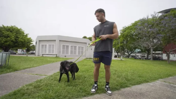 Joven renuncia a salario de 3 mil 500 dólares para pasar más tiempo con su perro en Argentina