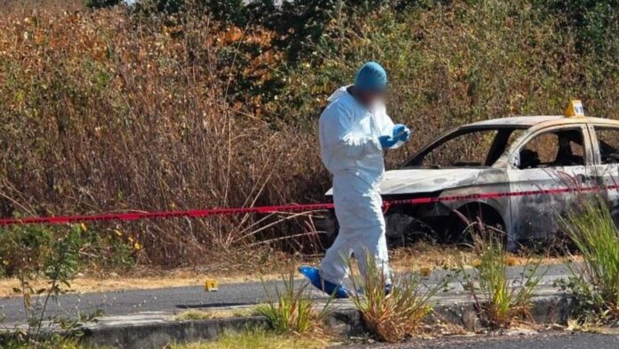 Asesinan a cinco miembros de una familia en ataque armado en Tepalcingo, Morelos