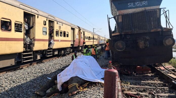 Video: Mueren ocho elefantes arrollados por un tren de alta velocidad en India