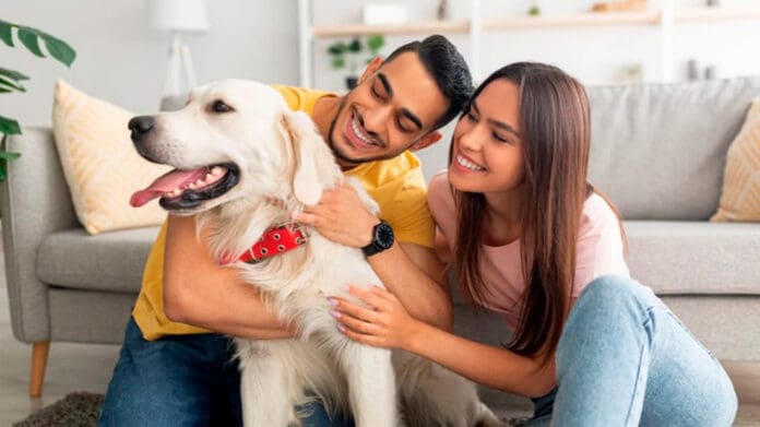 Generación Z en México no quiere hijos, apuesta por vasectomía y 