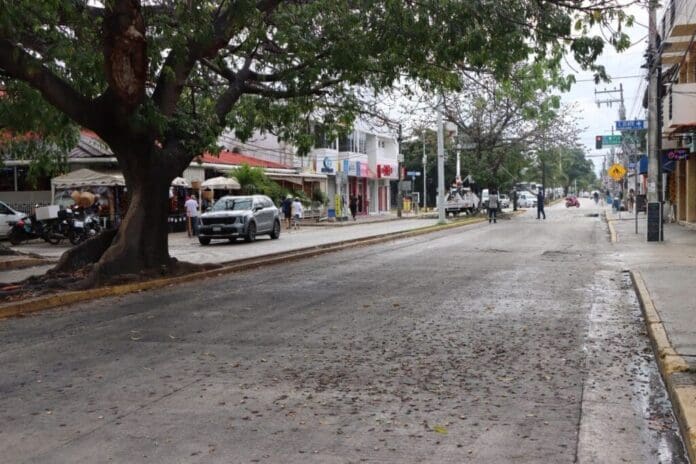 Ayuntamiento de Playa del Carmen atiende presencia de resina en vialidad de la avenida 30